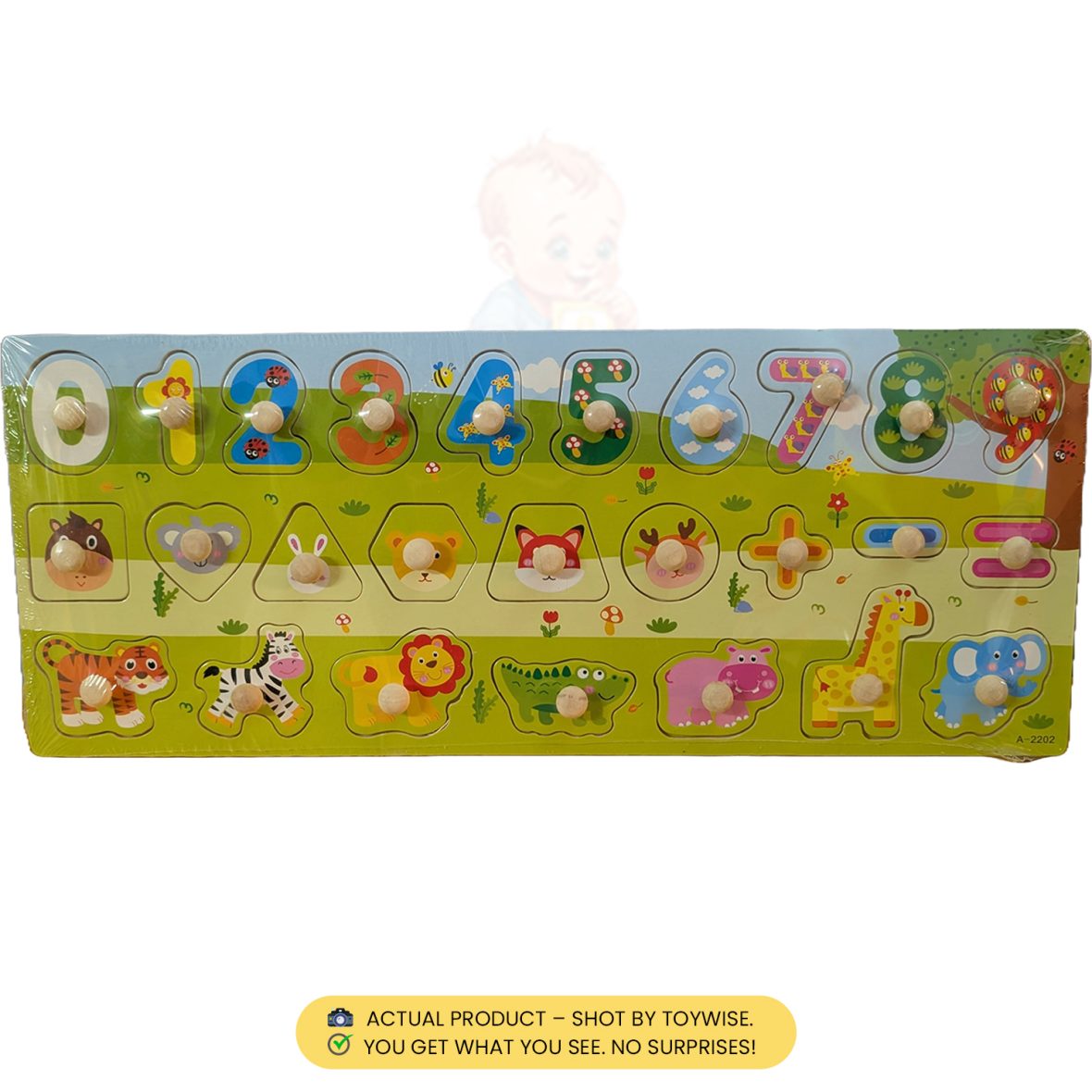 high-quality educational toys Pakistan