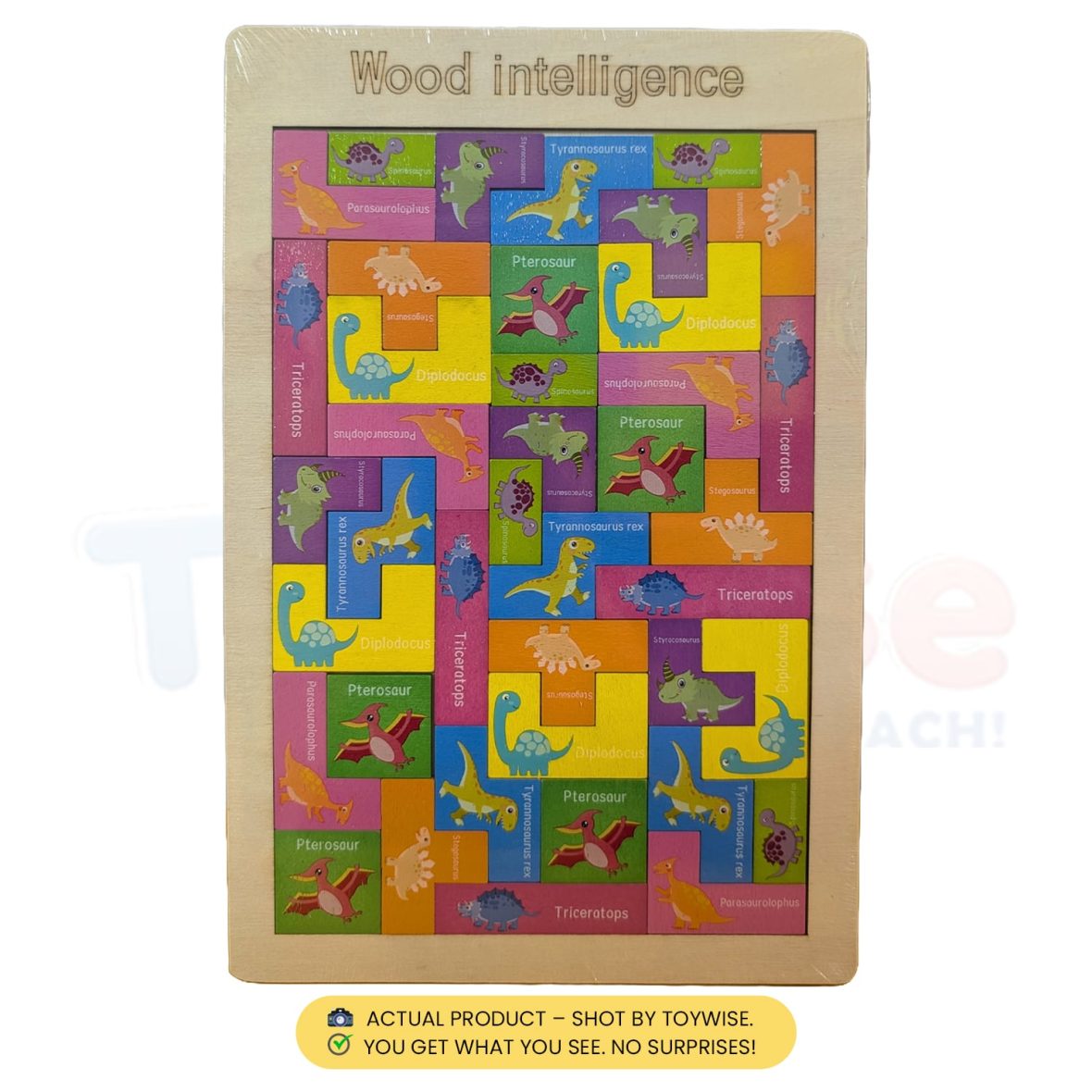 _0007s_0010_2 copy-min